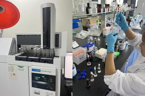 醫療器械NMPA注冊咨詢與軟件開發服務