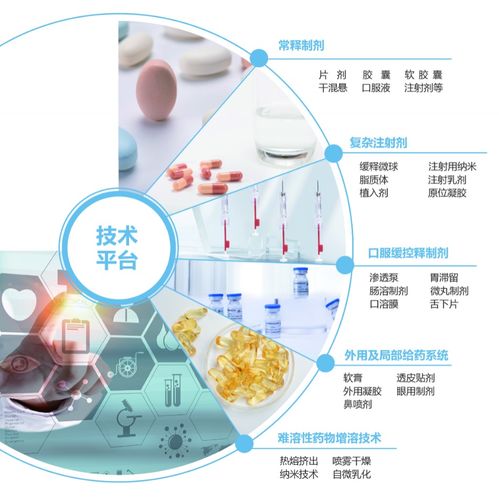 制劑CDMO一站式服務(wù)與信息技術(shù)咨詢(xún) 技術(shù)開(kāi)發(fā)與GMP生產(chǎn)的完美融合